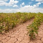 Climate Change on Agriculture