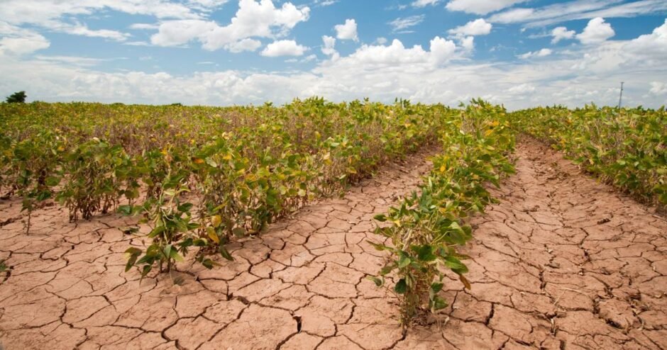 Climate Change on Agriculture