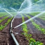 Drip Irrigation