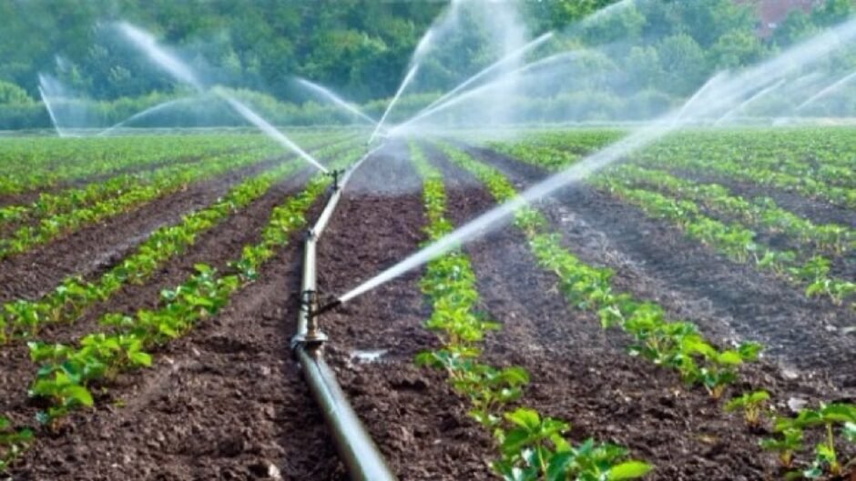 Drip Irrigation