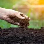 Soil Quality Enhancement