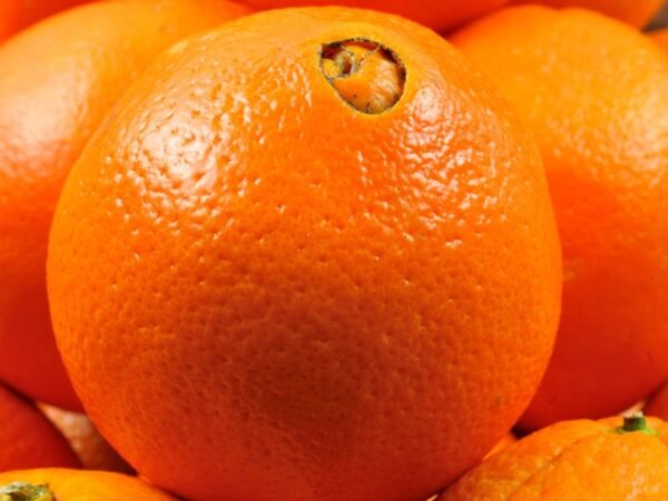 Naval Fresh Orange (1)