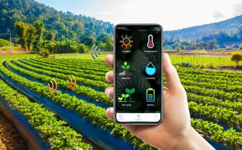 Smart farming LetsNurture Blog - Grid