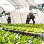 Smart Farming image shutterstock s Robotics Technology in Agriculture: The Future of Smart Farming